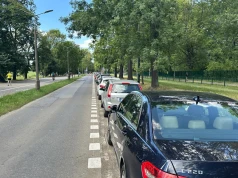Przy Błoniach zlikwidowano ukośne parkowanie, by chronić drzewa. ZZM: najlepiej byłoby całkowicie wyeliminować ruch samochodowy