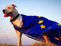 Gospodarka strefy euro daje oznaki życia. Niemiecki przemysł i usługi południa zaskakują