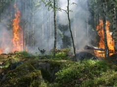 Zmiana klimatu może niemal potroić obszar pożarów w Europie