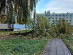 Nadciąga załamanie pogody. Burze, ulewy i wiatr do 100 km/h