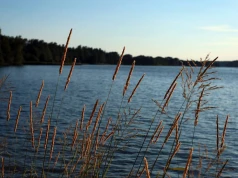 Za kilka dni rusza Podlaski Czek Turystyczny. O tych datach pamiętaj. Ile możesz zyskać?