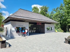 Rozpędzony rowerzysta potrącił 10-latka przy ZOO. Chłopiec trafił do szpitala