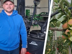 Żywioł w ciągu kilku minut zniszczył wszystko. Rolnik postawił na ochronę i wygrał z pogodą