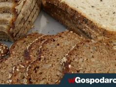 Ciemny chleb nie zawsze jest zdrowszy od białego. Jak wybrać dobre pieczywo?