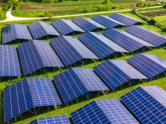 Czy rozwój energii słonecznej zagraża ptakom? Odkryto dziwne zależności