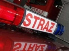 Pracowity poranek dla strażaków w regionie radomskim. Drzewa i konary na jezdniach i na samochodzie