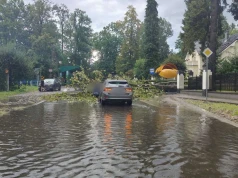 Drzewo runęło na auto i wiatę. Tak wyglądały skutki gwałtownej burzy