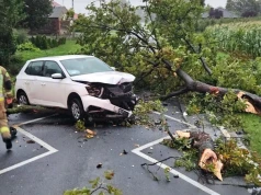 Groźnie w powiecie konińskim. Drzewo zmiażdżyło auto, kilka gmin bez prądu