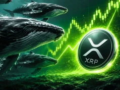 Wieloryby XRP wiedziały wcześniej? To dlatego warto je obserwować