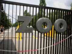 Warszawskie zoo oraz parki w Łazienkach i Wilanowie zamknięte. Porywisty wiatr w natarciu