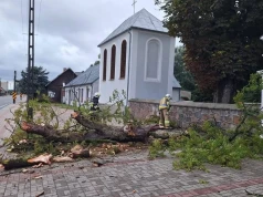 Powalone drzewa i zalane posesje. "Zgłoszenia cały czas napływają"