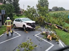 Nawałnica nad powiatem konińskim. Drzewo runęło na jadący samochód