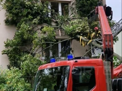 Potężna gałąź uderzyła w blok na Bielanach. Wybiła szybę i wpadła do mieszkania