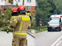Wichura łamie drzewa w powiecie. Konar uderzył w auto, ewakuacja parkingu w Łomży