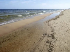 Sprzątał plażę, znalazł bursztyn. Skarb Bałtyku może być wart fortunę