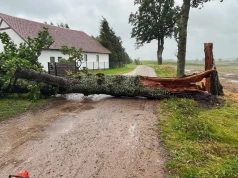 Ulewy paraliżują Warmię i Mazury. Ponad 1400 interwencji strażaków. Drzewo spadło na obóz harcerski