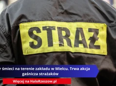 Pożar śmieci na terenie zakładu w Mielcu. Trwa akcja gaśnicza strażaków