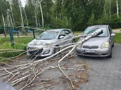 Seria interwencji po wichurze w Ząbkach. Powalone drzewa blokowały ulice, chodniki i niszczyły samochody
