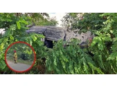 Peugeot uderzył w drzewo i dachował. Kierowca trafił do szpitala