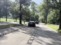 Mniej aut, więcej ochrony dla drzew? Nowa organizacja ruchu na Al. 3 Maja budzi emocje