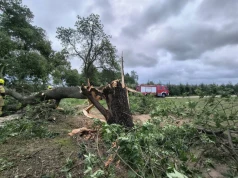 Ponad 500 zgłoszeń, warunki były bardzo trudne. Sobota w regionie łódzkim