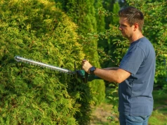 Nie czekaj do września. Tnij teraz, wiosną się zagęści