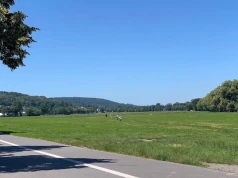Roboty pobiegną na Błoniach. Na starcie sprint na 100 metrów i slalom