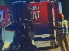 Spłonął pojazd aktywistów DIOZ po proteście w Tatrach. Spór o konie wymknął się spod kontroli?