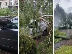 Żywioł wywołał chaos w krajach bałtyckich. Wyrywało drzewa z korzeniami