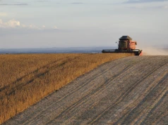 Ukraina rozważa zniesienie ceł na soję, rzepak i słonecznik. W parlamencie dwie sprzeczne ustawy