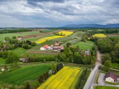 Nowy obowiązek dla kupujących dom. Potrzebne będzie specjalne oświadczenie