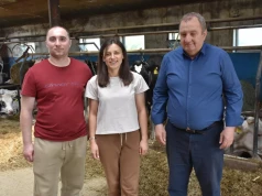 Nie kupują jałówek. Ich krowy dają średnio 13 600 kg mleka