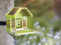 Po co wstawiać sztuczną inteligencję do ogrodowego karmnika? Birdfy udowadnia, że to ma sens