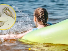 "Mózgożerna" ameba znów przeraża. Eksperci uspokajają: zakażenia są rzadkie