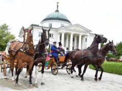 XXX Konkurs Pojazdów Konnych 2026 w Lubostroniu. Takie tłumy były wokół pałacu