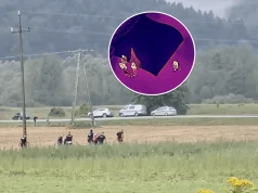 Kulisy nocnej obławy na uciekinierów. Obława w podczerwieni: sceny jak z Predatora