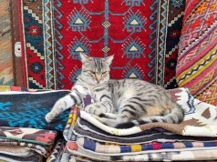 Stary kilim z PRL-u jest warty na Allegro 2500 zł. Na Vinted można go kupić już za 75 zł