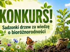 Sadzonki drzew za wiedzę o bioróżnorodności