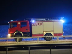 Samochód zderzył się z łosiem na S19. Dwie osoby zostały poszkodowane
