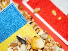 Na horyzoncie rysuje się kolejny kryzys zbożowy między Polską a Ukrainą