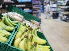 Kryzys kanaryjskiego plátano: banany z importu przejmują hiszpański rynek