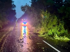 Blisko 50 interwencji w związku z silnym wiatrem i opadami deszczu
