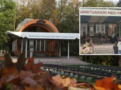 Disco polo z podtekstem przed ołtarzem. Proboszcz komentuje nagranie
