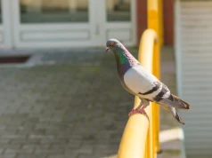 Więcej słońca i do 23°C. Taka pogoda we wtorek w Łódzkiem