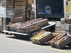 Inspektorzy ruszyli na kontrole. Co czwarty handlujący owocami wpadł na kontroli