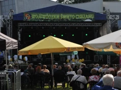 Tłumy ludzi odwiedziły 15. Jubileuszowe Wojewódzkie Święto Chrzanu w Osjakowie (zdjęcia)