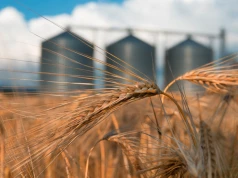 Botanika Farm zwiększa przychody o 43 proc. Spółka szykuje nowe inwestycje