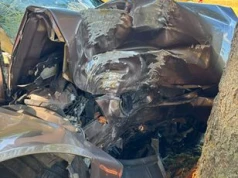 Poważny wypadek na DW 189. BMW uderzyło w drzewo