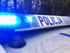 Zderzenie z sarną w Czyżewie. Kia uszkodzona na ul. Andrzejewskiej