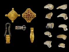 Elitarne groby, a w nich… pazury niedźwiedzia. Pochówki spod Kaliningradu zapoczątkowały archeologiczną enigmę